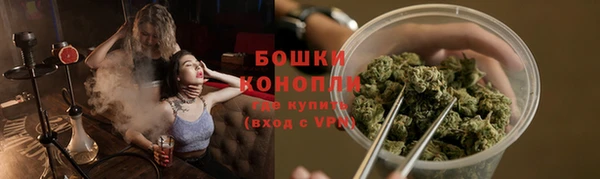 шишки Алзамай