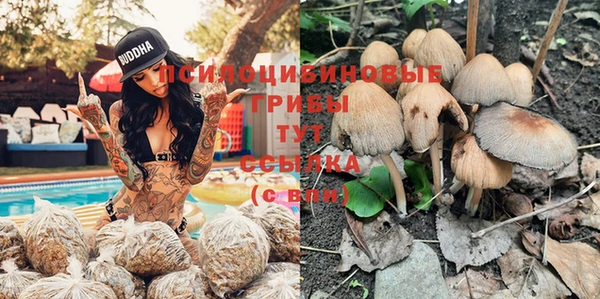 шишки Алзамай