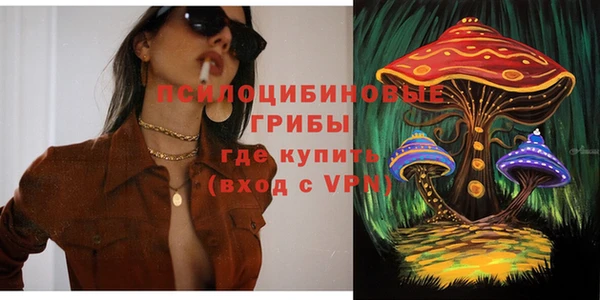 шишки Алзамай