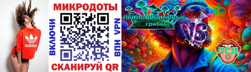 Галлюциногенные грибы Cubensis  где купить наркоту  Грязовец 